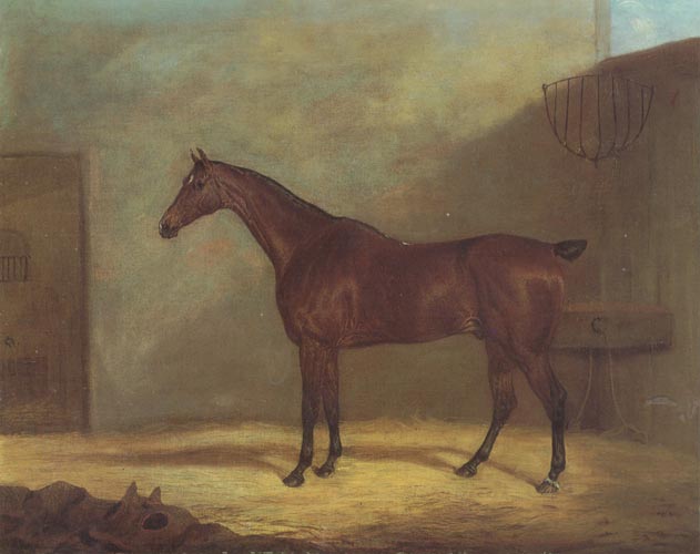 A Chestnut Hunter With A Groom By a Building